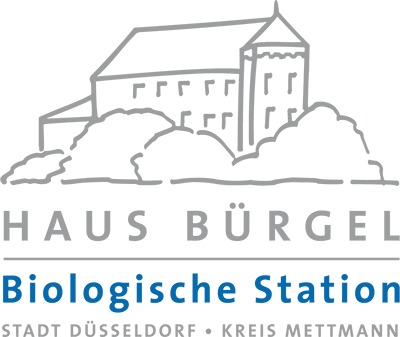 Logo des Haus Bürgel