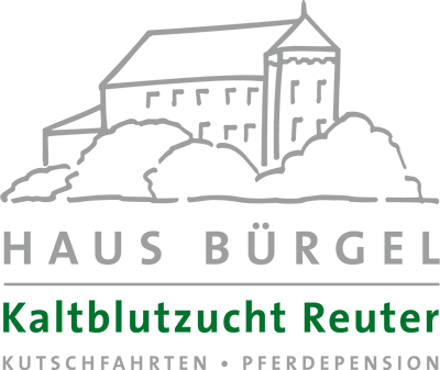 Logo des Haus Bürgel